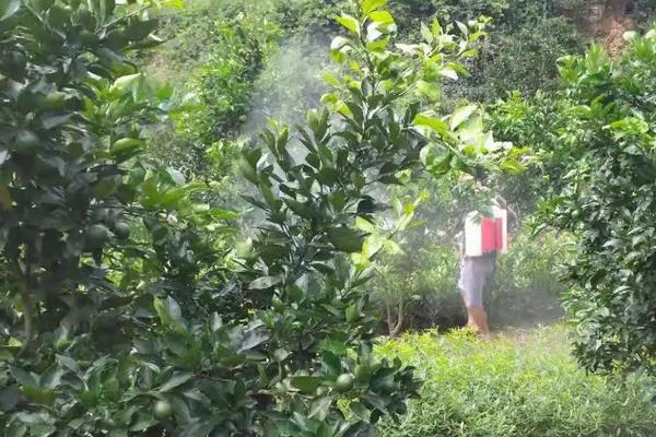 甲维虱螨脲使用方法，附甲维虱螨脲的用途