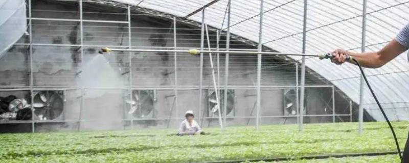 蔬菜常用农药