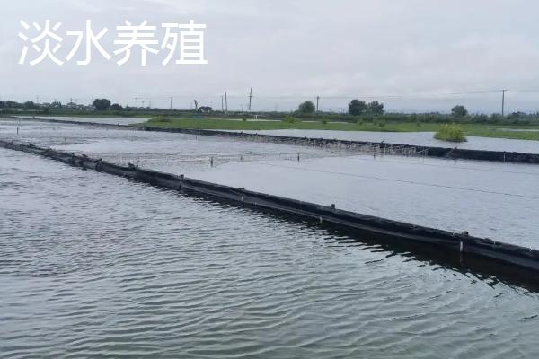 水产养殖品种有哪些