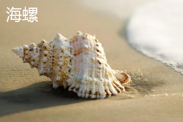 水产养殖品种有哪些