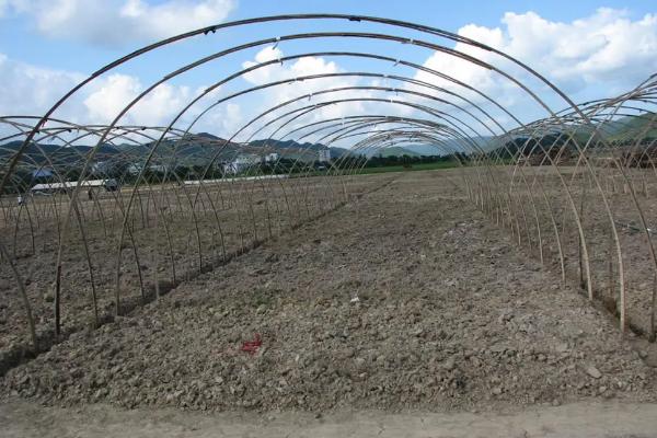怎么搭建小型简易大棚