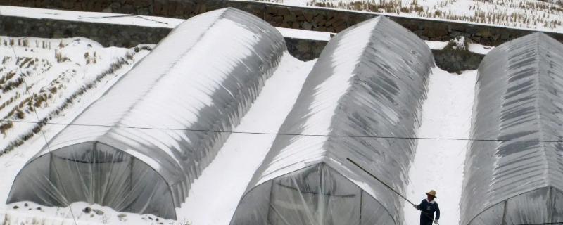 雪压塌大棚能顶起来吗