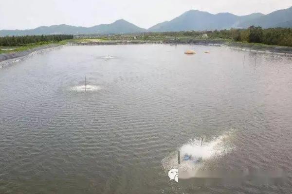 怎么养殖黄骨鱼