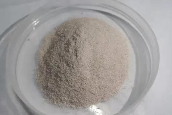淡紫拟青霉对根线虫的作用