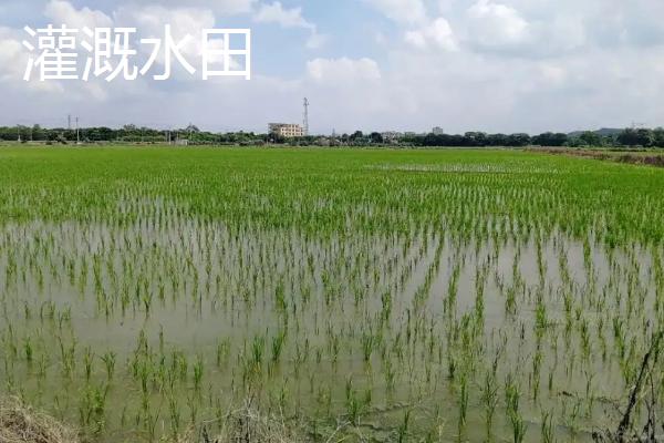 耕地的类型