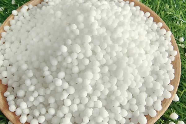 氮肥适合哪些绿植