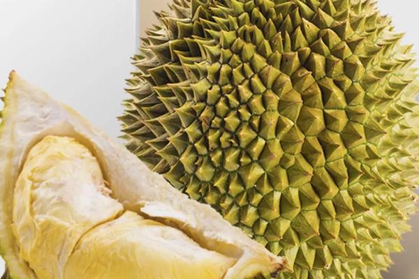 高档水果品种大全