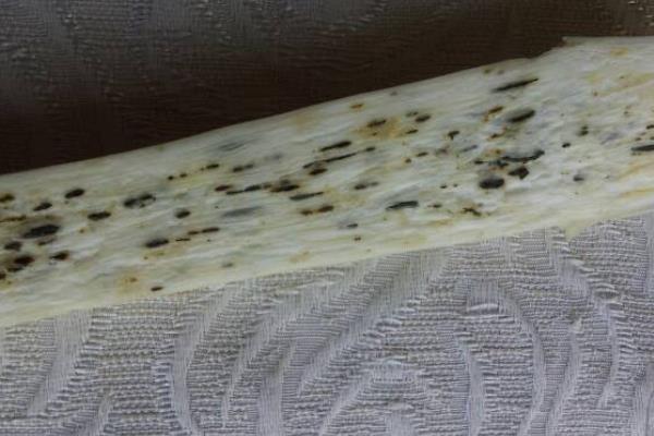 茭白里面有黑色的小点能吃吗