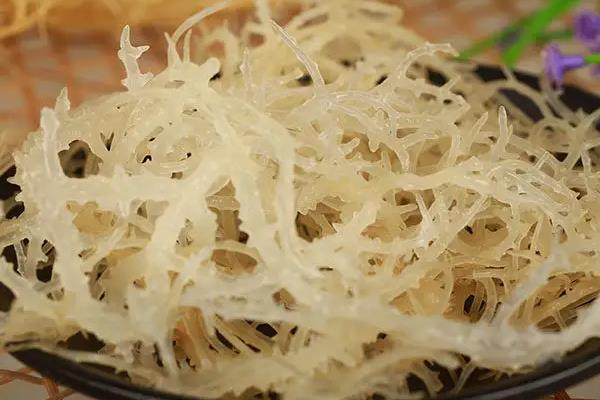 龙须菜为什么有白色有绿色的