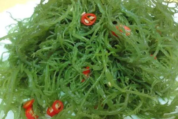 龙须菜是什么样子的