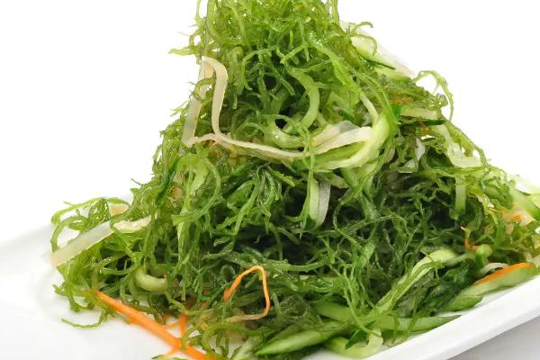 龙须菜生长在什么地方