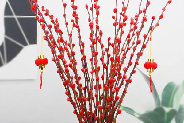 银柳养几根最吉利