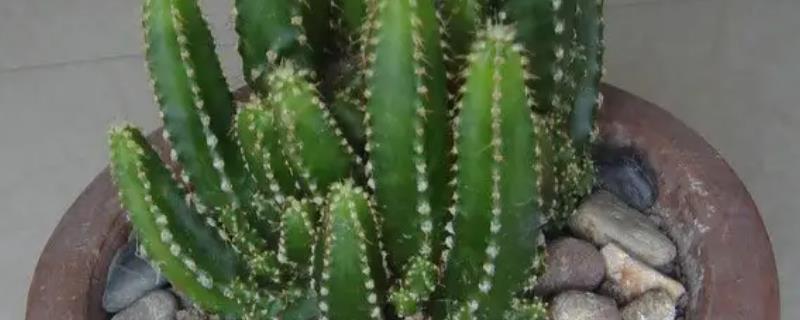 万重山风水摆放三不要