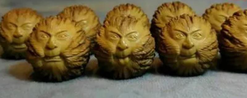 猴头是什么植物的种子