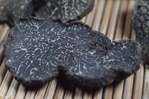猪拱菌和黑松露区别
