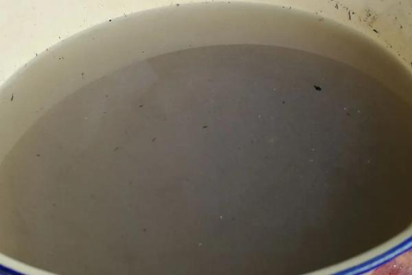如何正确的给番茄进行叶面追肥，注意施用种类、浓度、时间等