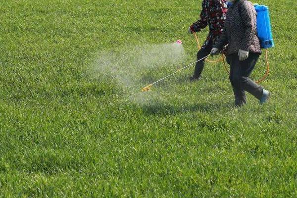 除草剂中毒分类，请合理使用