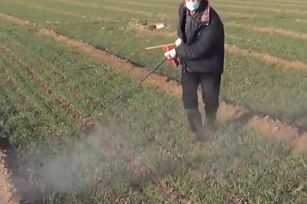 除草剂中毒分类，请合理使用