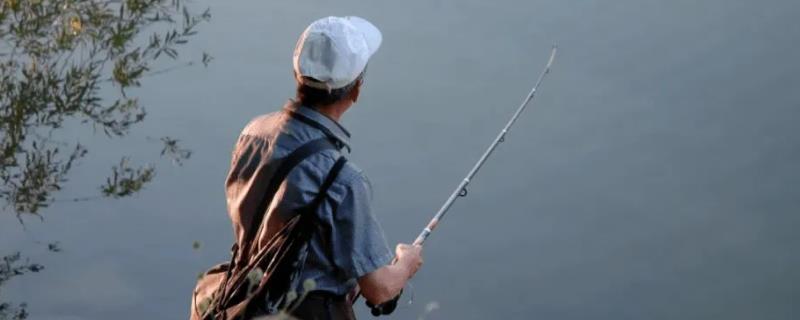 野钓用吃什么浮漂最好