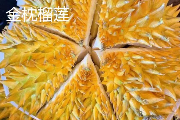 榴莲好吃的品种十大排名