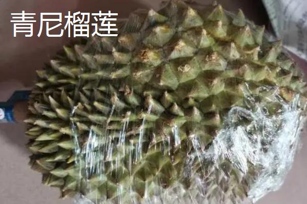 榴莲好吃的品种十大排名