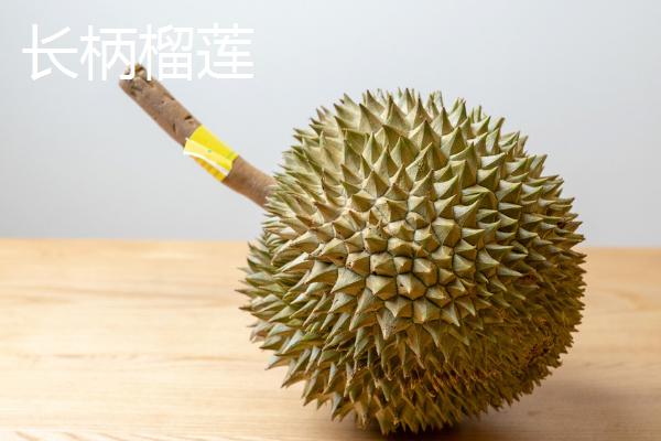 榴莲好吃的品种十大排名