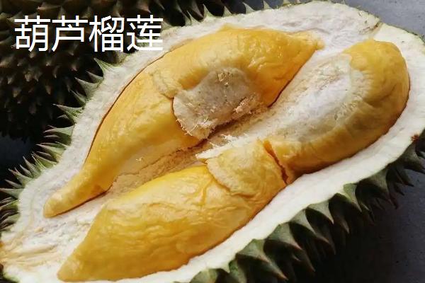 榴莲好吃的品种十大排名