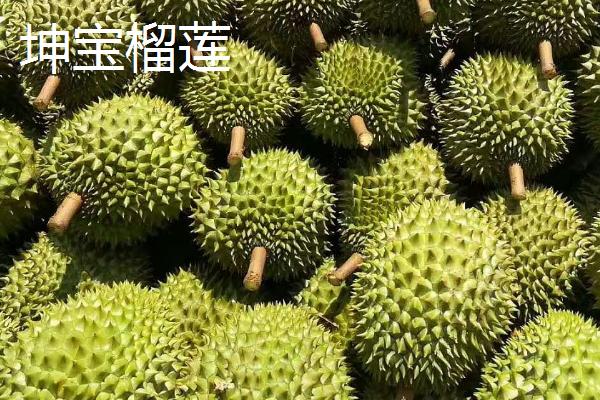 榴莲好吃的品种十大排名