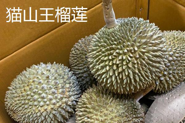 榴莲好吃的品种十大排名
