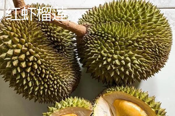 榴莲好吃的品种十大排名