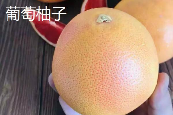葡萄柚子和普通柚子有什么区别