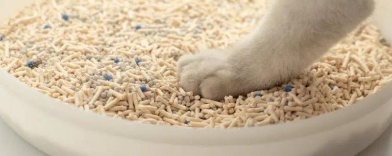 猫砂可以做肥料吗