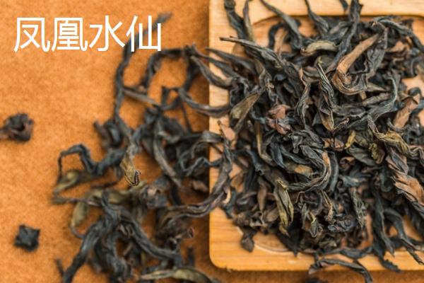 青茶有哪些品种