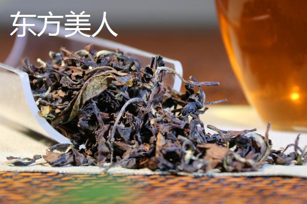 青茶有哪些品种