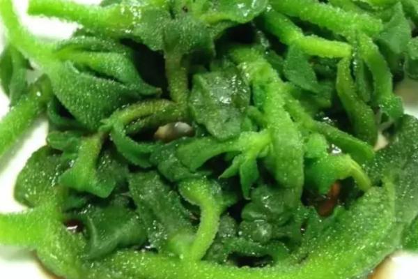橄榄菜长什么样