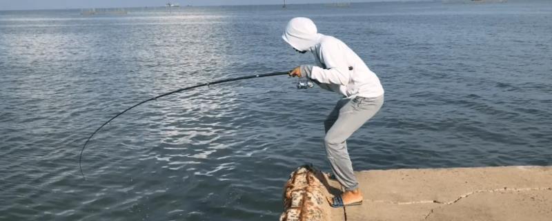 冬天什么时间段路亚钓翘嘴