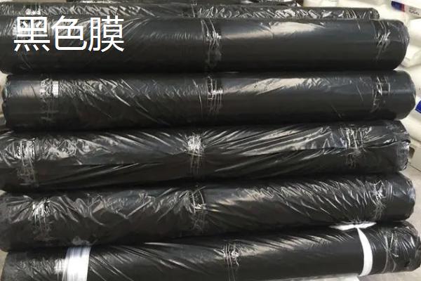 农膜怎么选择，主要有聚乙烯和聚氯乙烯
