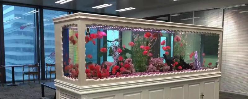 亚克力鱼缸经用吗