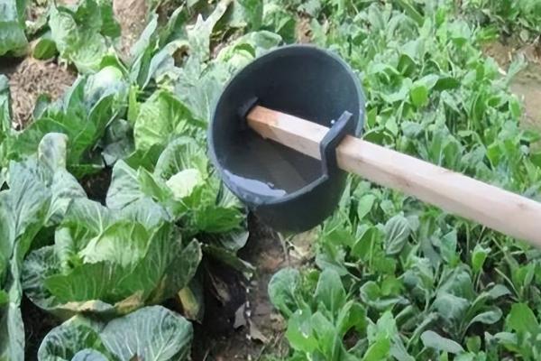 无公害蔬菜怎么追肥，应根据需肥特点确定施肥方式