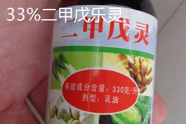 有哪些大蒜田除草剂，包括乙草胺和恶草酮等种类