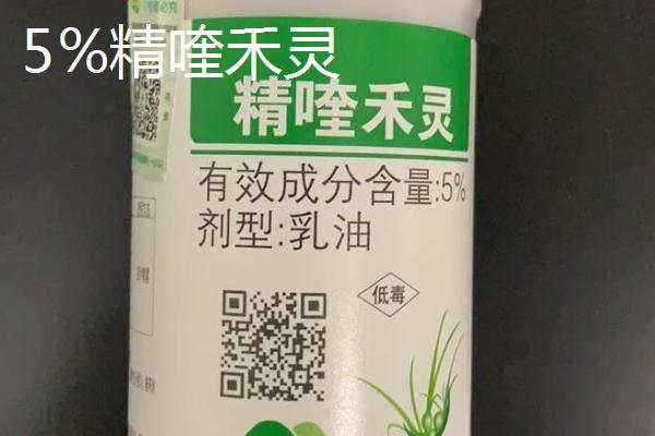 有哪些大蒜田除草剂，包括乙草胺和恶草酮等种类