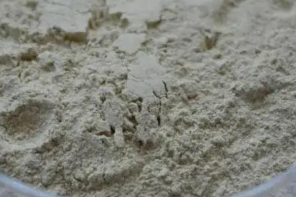 淡紫紫孢菌是什么，可用来防治半翅目及鞘翅目害虫