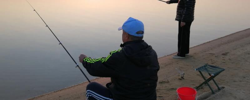 夜光漂怎么选