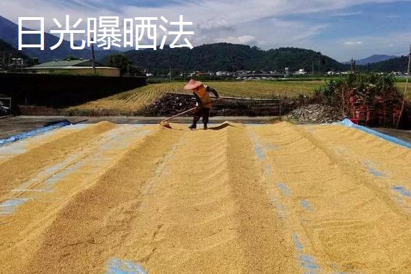 如何储藏粮食不会有农药残留，缺氧、石灰、日光保管法都可以