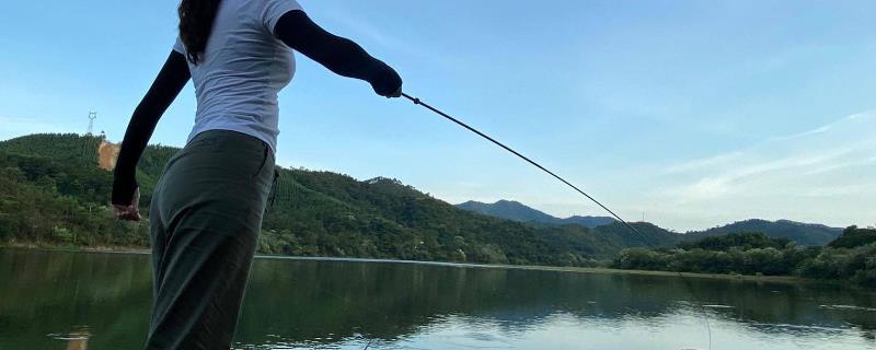 晚上钓鲫鱼适合用什么饵