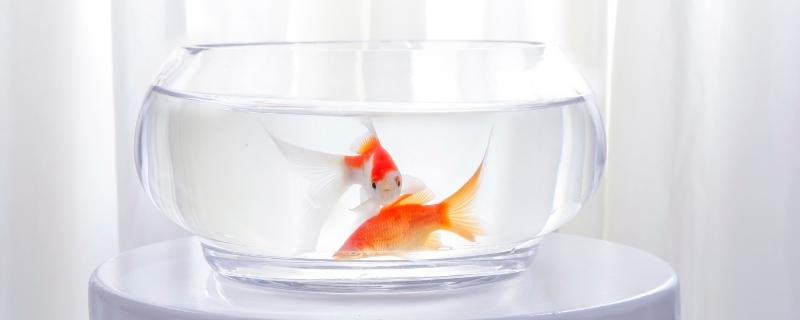 鱼缸水加温方法
