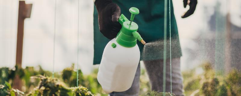 氰霜唑的作用