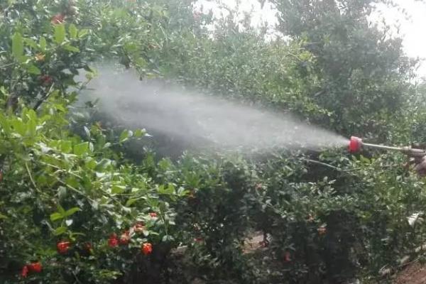 氰霜唑的作用，是一种新型低毒剂
