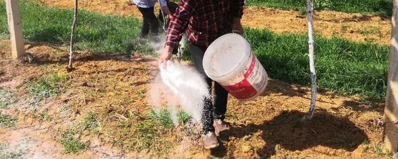 西洋牌复合肥的使用方法