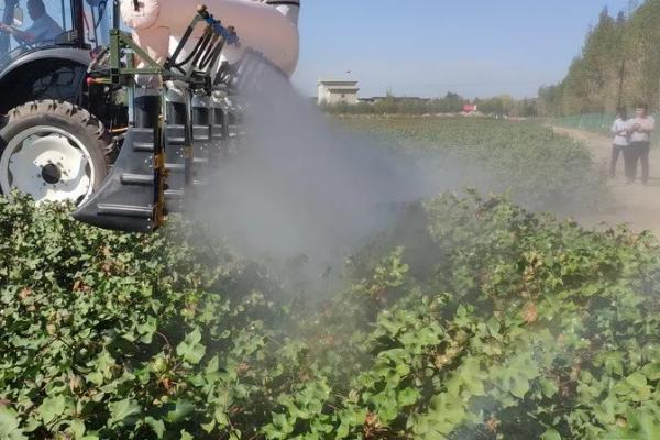 棉花如何喷施叶面肥，不同类型的肥用量用法均不同